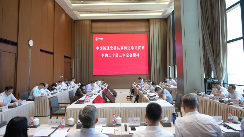 中国拉斯维加斯网站党委当真进建贯彻党的二十届三中全会心灵